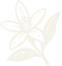 files/Layer_3.png