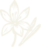 files/Saffron_1.png