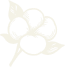 files/White_Musk_1.png
