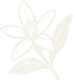 files/icon-4.png